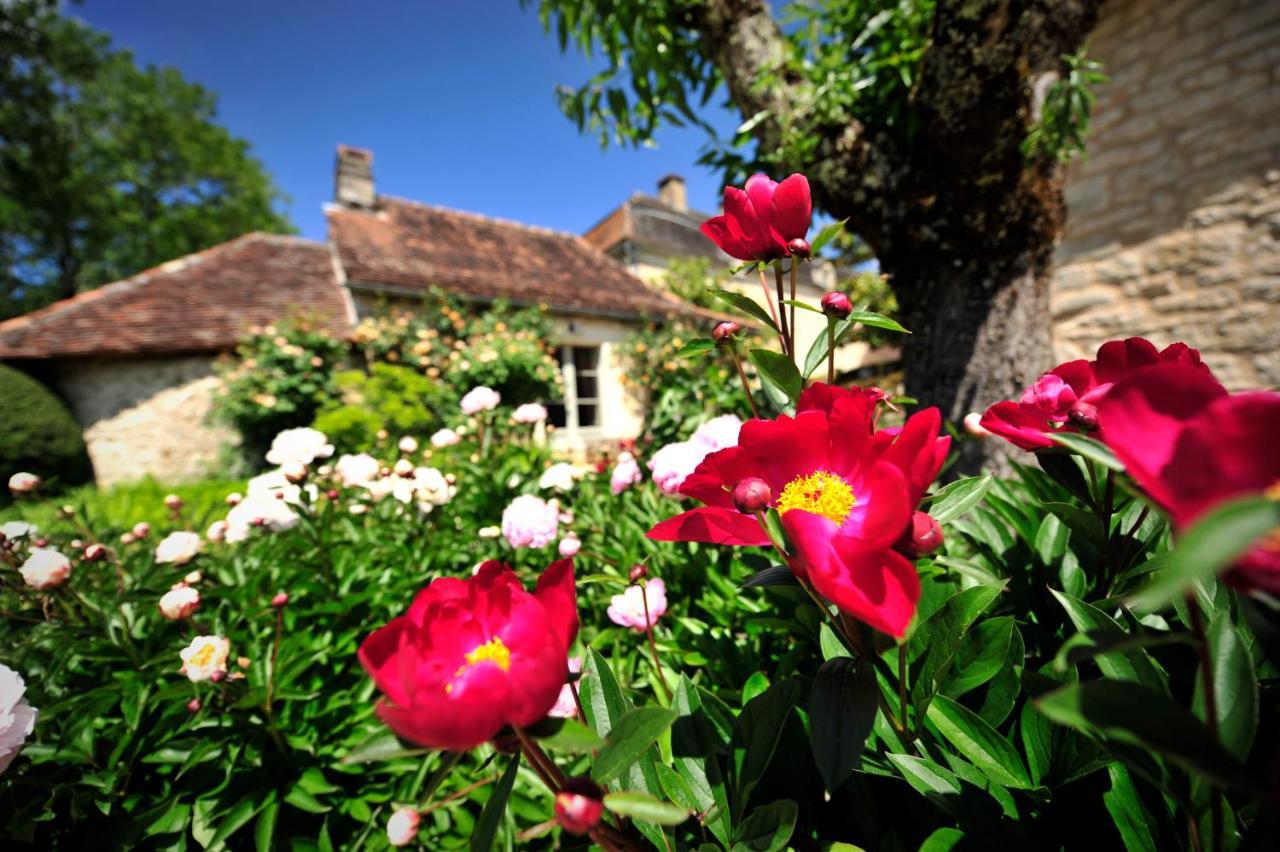 Manoir De Malagorse Cuzance Εξωτερικό φωτογραφία